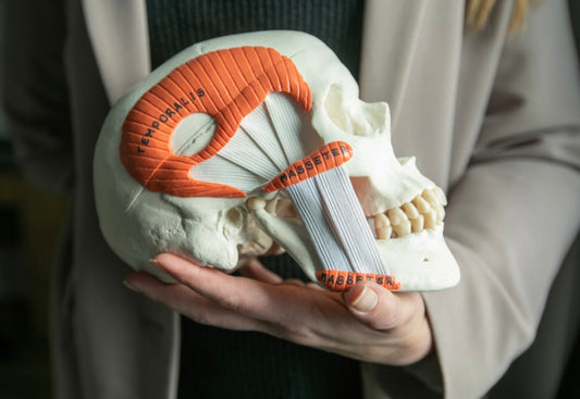 “30 editable aesthetics training manuals bundle”